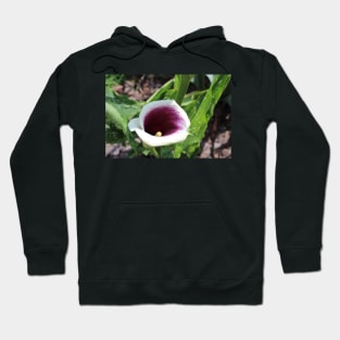 Calla Lily Tilted Photographic Image Hoodie